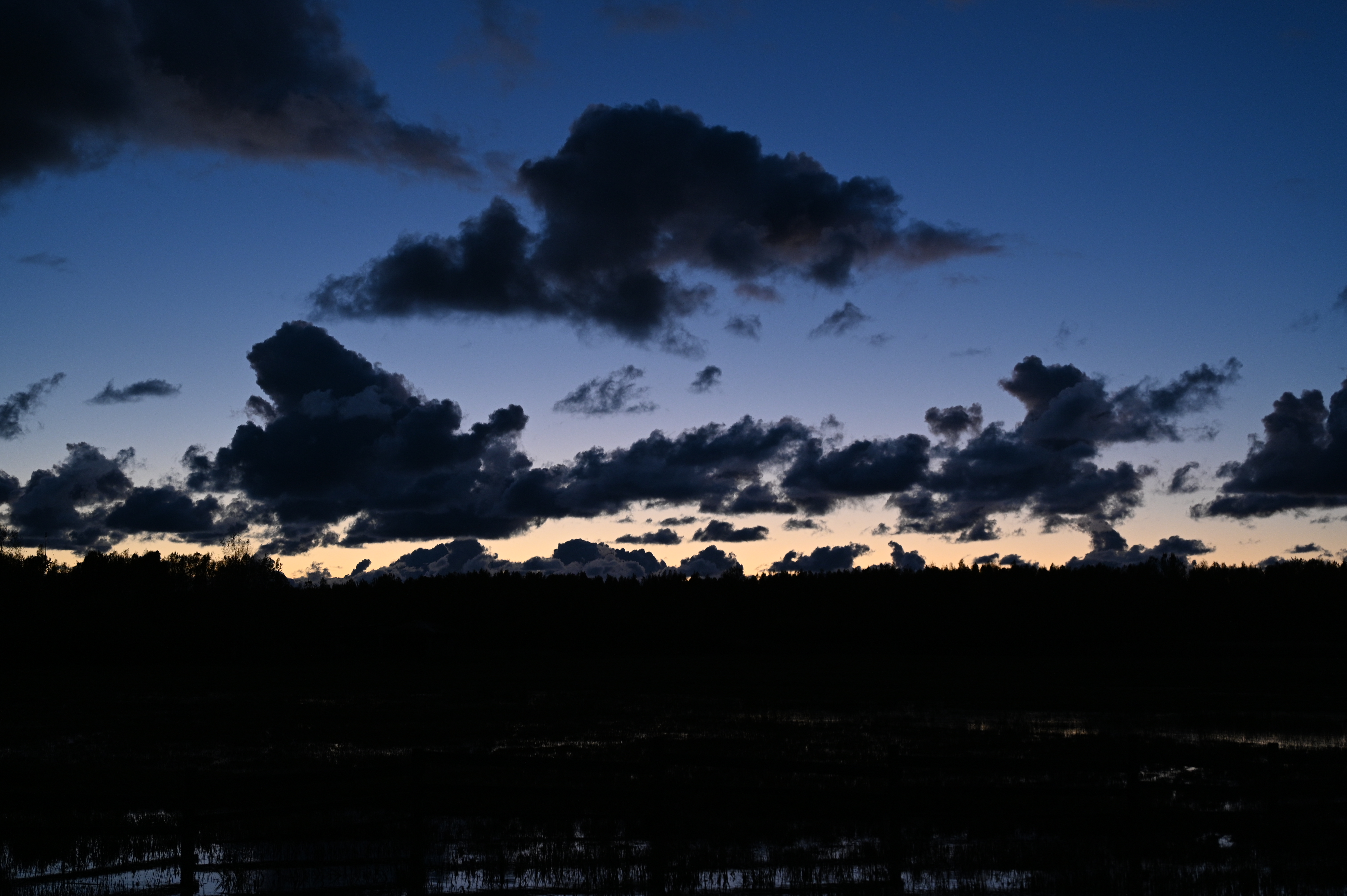 2025/10/18 - walk/DSC_0670.JPG